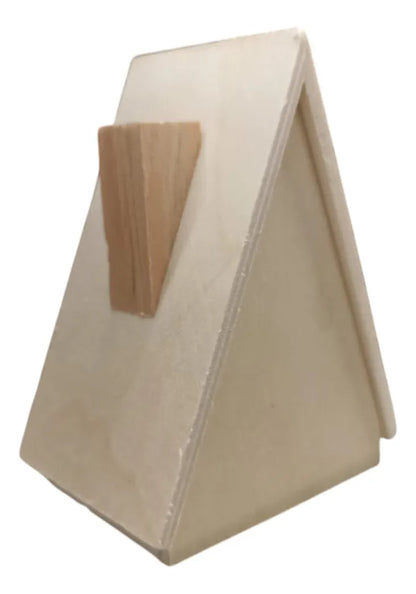 Material Didáctico 2 Casitas Madera Pintura Pincel colores